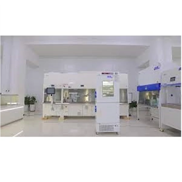 BIOBASE Drying Oven Constant Temperature Drying Oven BJPX-HDO Series Drying Oven FOR lab