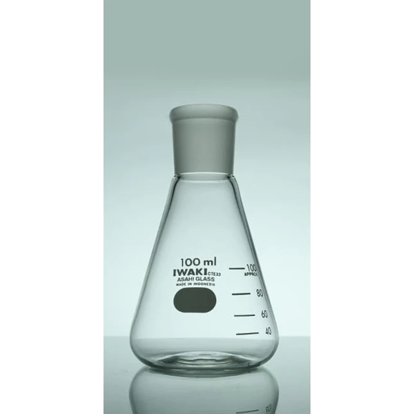 IWAKI Erlenmeyer Flask With TS Joint Without Glass Stopper