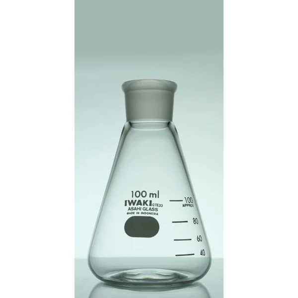 IWAKI Erlenmeyer Flask  With TS Joint Without Glass Stopper Stopper