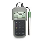 HANNA  Waterproof Portable pH ORP ISE Meter - HI98191 1