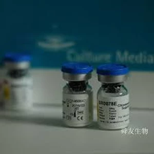 Chloramphenicol Selective Supplement Oxoid SR0078E