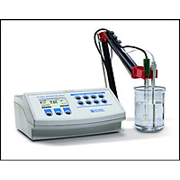 Hanna Laboratory pHMeter