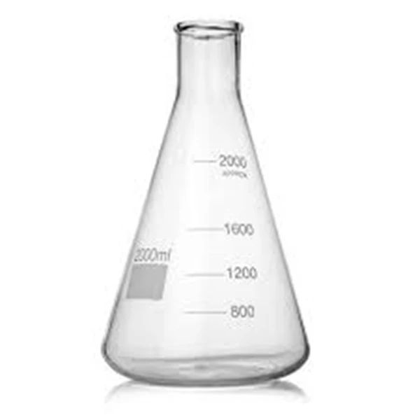 IWAKI Glass Ware Erlenmeyer Flask