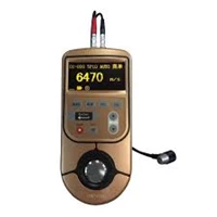 Online Ultrasonic Thickness Gauge TIME®2131